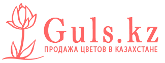 Риддер